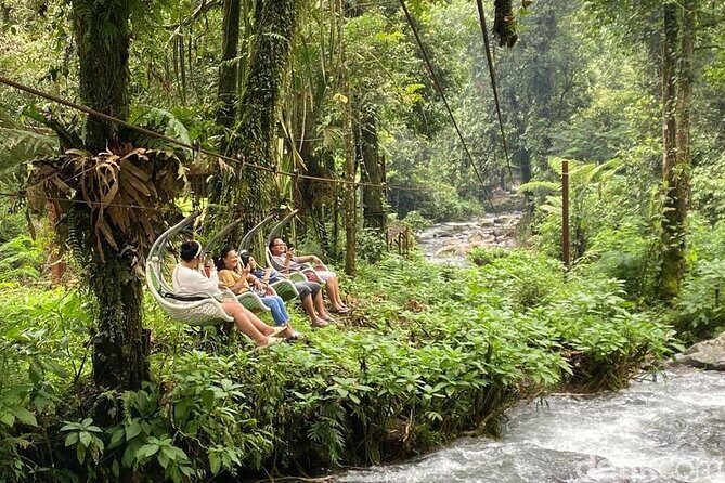 Jakarta Rainforest Hiking to Hidden Waterfall & Suspension Bridge - The Experience from Reviews