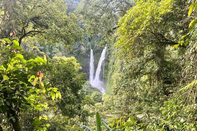 Jakarta Rainforest Hiking to Hidden Waterfall & Suspension Bridge - Transportation & Practicalities
