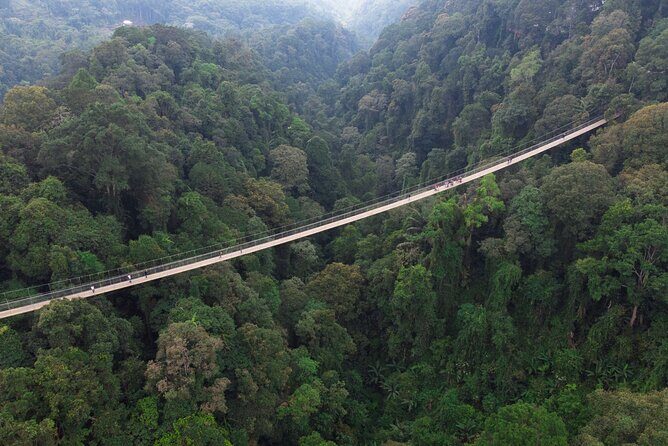 Jakarta Rainforest Hiking to Hidden Waterfall & Suspension Bridge - The Sum Up