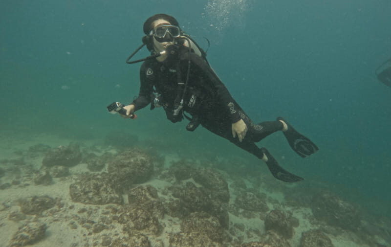 Jalisco: Scuba Diving at Los Arcos for Certified Divers - Final Verdict