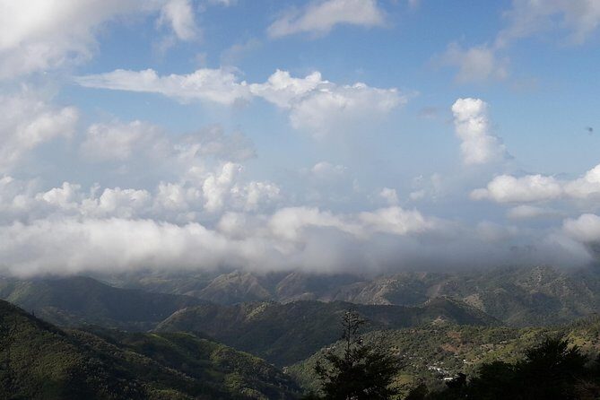 Jamaica Blue Mountain Guided Nature Tour - The Itinerary: What to Expect on Your Mountain Adventure