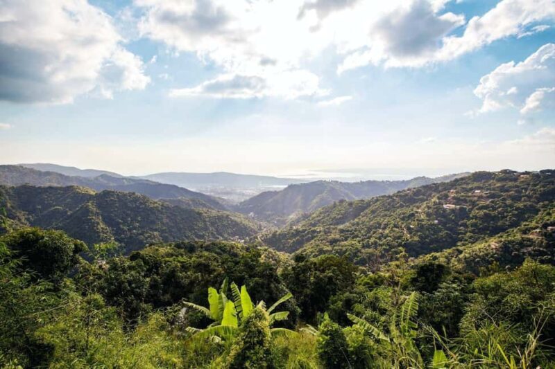 Jamaica: Blue Mountains Full Day Tour with Brunch & Lunch - A Closer Look at the Experience: The Realities