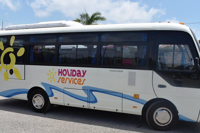 Jamaica Combo Tour: Dunn's River Falls and Bob Marleys Nine Mile - The Bottom Line: Who Is This Tour For?