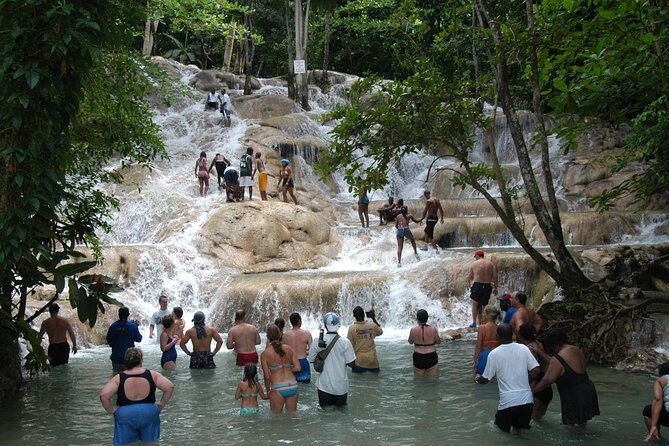 Jamaica Dunn's River Falls Party Cruise with Snorkeling - Who Is This Tour Best For?