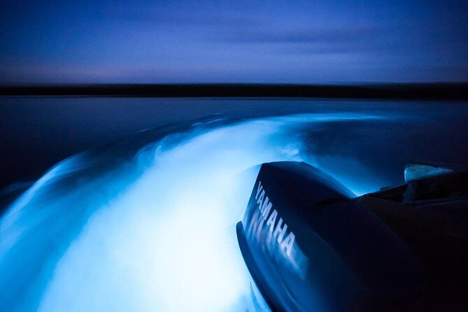 Jamaica Luminous Lagoon Private Tour with Transportation - Final Thoughts