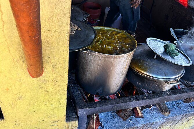Jamaican Countryside Food Tasting Tour from Montego Bay - An Introduction to the Foodie Journey in Jamaica