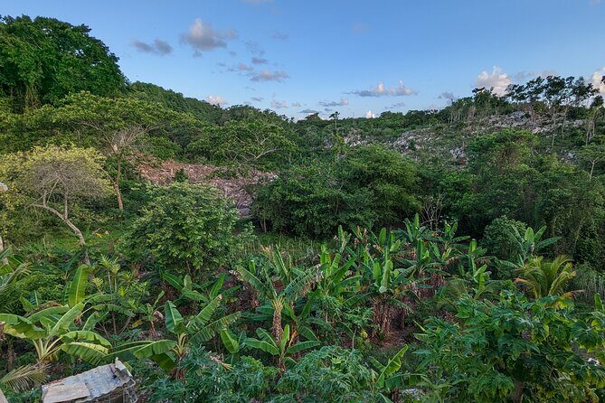 Jamaican Roots Tropical Farm Tour - Taste & Explore (Negril) 2hr - Final Thoughts