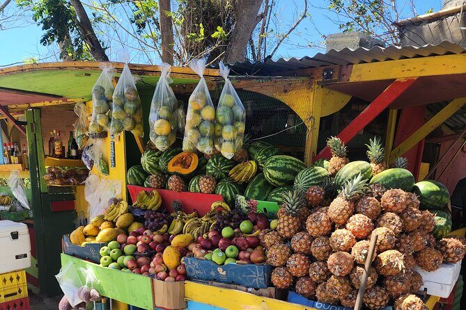 Jamaican Street Food and Rum Tasting Private Tour - What to Expect from the Jamaican Street Food and Rum Tasting Tour
