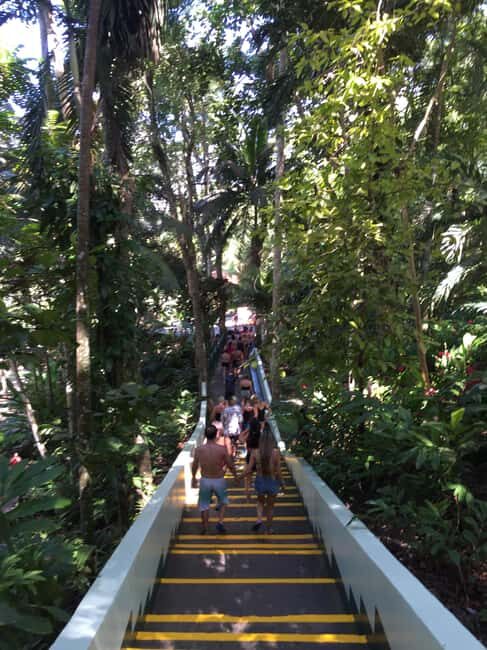 Jamaica's Dunn's River Falls & River Tubing Tour - FAQs