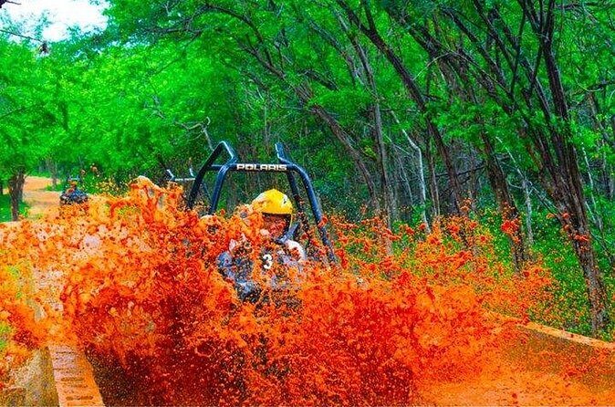 Jamwest Off-Road ATV Adventure & JamCulture Tour Combo in Negril - FAQ