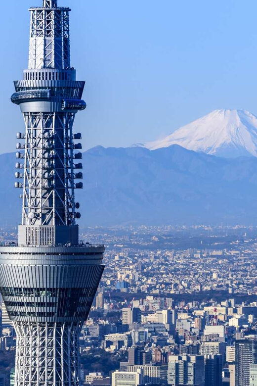 Japan: 7-Day Private Tour with Tokyo, Kamakura, and Osaka - Day 5: Kyoto’s Cultural Depth