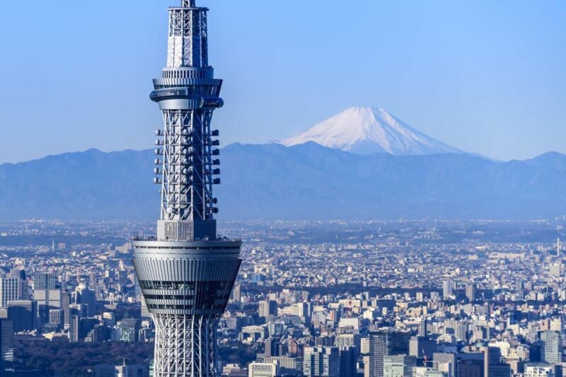 Japan: 7-Day Private Tour with Tokyo, Kamakura, and Osaka - What to Expect in Terms of Comfort and Value