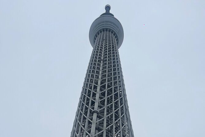 Japan 7 Days Tour - Who Will Love This Tour?