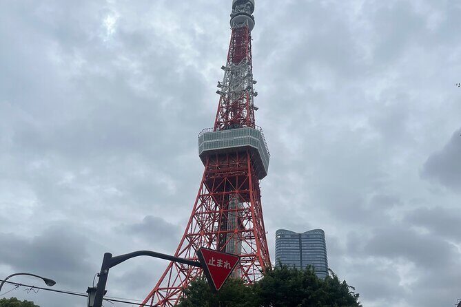 Japan 7 Days Tour - Final Thoughts