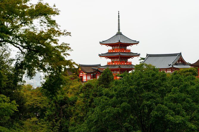 Japan Classic 10 Day - One Life Adventures - Practical Considerations