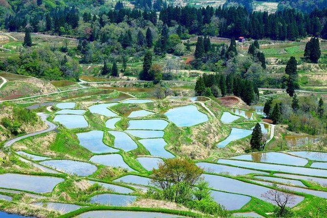 Japan Discovery Tour (12 Days) - Kanazawa and Traditional Japan
