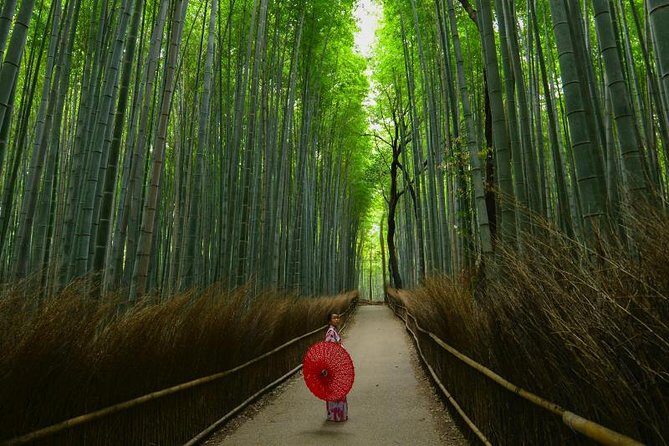 Japan Discovery Tour (12 Days) - Practical Details and Overall Value