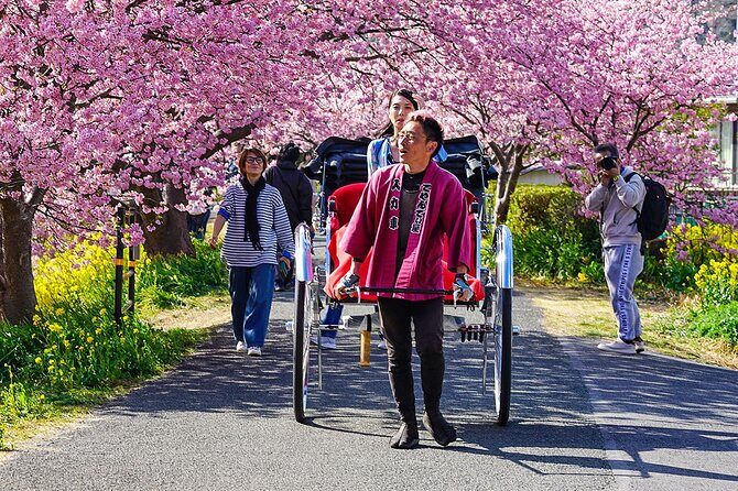 Japan Mini Group Tour from Tokyo - What to Expect from the Japan Mini Group Tour from Tokyo