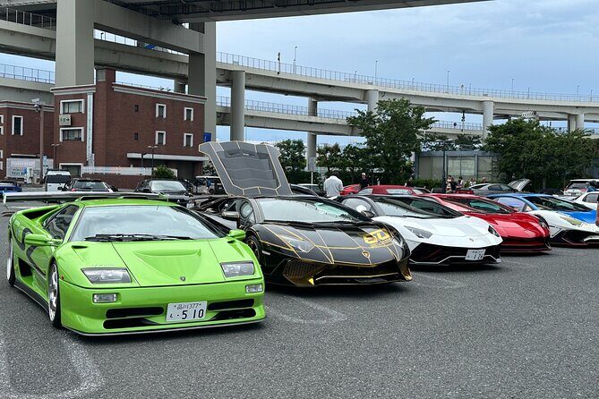 Japanese Car Meet JDM Culture Tour in Daikoku - The Sum Up
