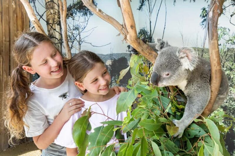 Japanese Tour Small Group: Blue Mountains, Scenic World, Zoo - An In-Depth Look at the Blue Mountains Small-Group Tour