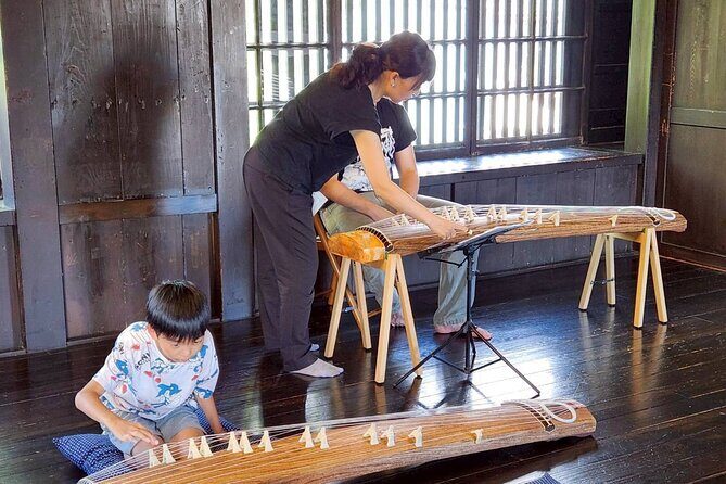 Japanese Traditional Music Experience - Who Will Love This?