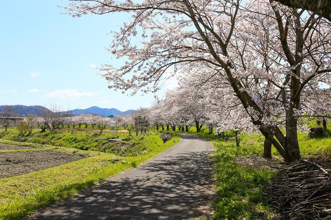 Japan's Rural Life & Nature: Private Half Day Cycling Near Kyoto - A Closer Look at the Tour Experience