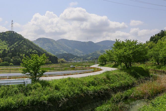 Japan's Rural Life & Nature: Private Half Day Cycling Near Kyoto - Second Stop: Iwaya Zenkodo Temple & Mountain Hike