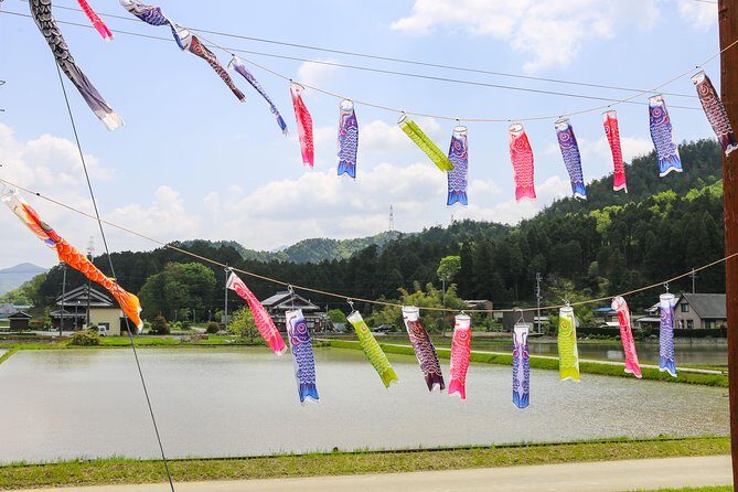 Japan's Rural Life & Nature: Private Half Day Cycling Near Kyoto - What Makes This Tour Special