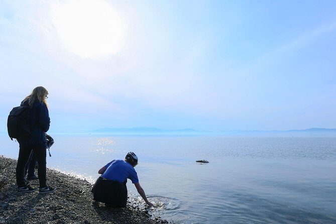 Japan's Rural Life & Nature: Private Half Day Cycling Near Kyoto - Analyzing the Cost & Value