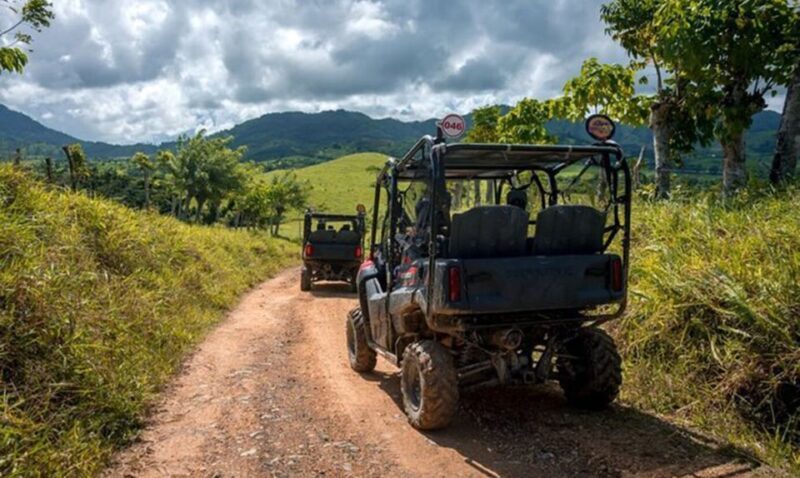 Jarabacoa: Baiguate Waterfall ATV Tour with Entry Ticket - The Highlight: Baiguate Waterfall and Swimming