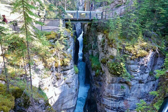 Jasper and Columbia Skywalk Icefield Parkway Private Day Tour - Considerations and Practical Tips