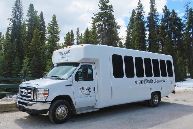 Jasper Evening Wildlife Tour - Final Thoughts: Who Will Appreciate This Tour?
