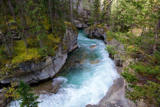 Jasper Ice Climbing Experience - What Makes the Jasper Ice Climbing Experience Stand Out?