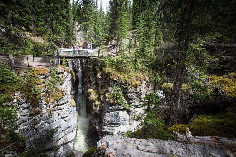 Jasper: Sightseeing Tour with Maligne Lake Cruise - Exploring Jasper and Its Surroundings: An Honest Breakdown