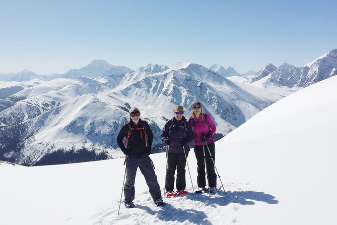 Jasper SkyTram - What Youll See and Do at the Top