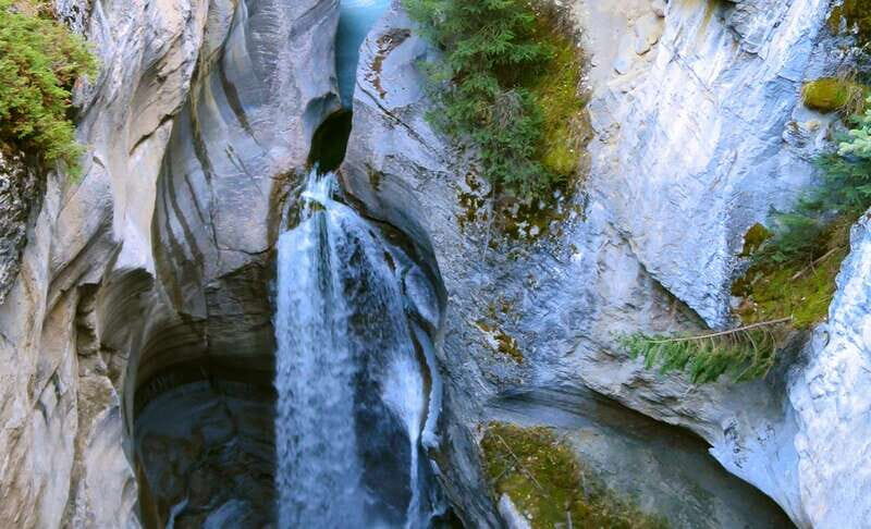 Jasper: Wildlife and Waterfalls Tour with Lakeshore Hike - In-Depth Look at the Experience