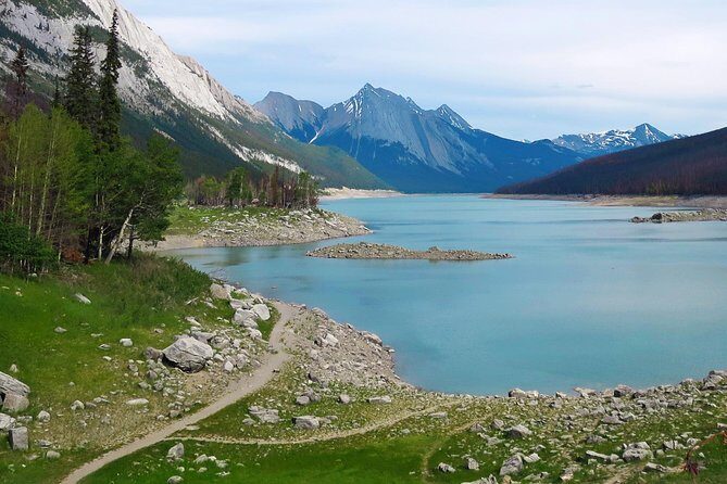 Jasper Wildlife and Waterfalls Tour with Maligne Lake Hike - Final Thoughts: Who Will Love This Tour?