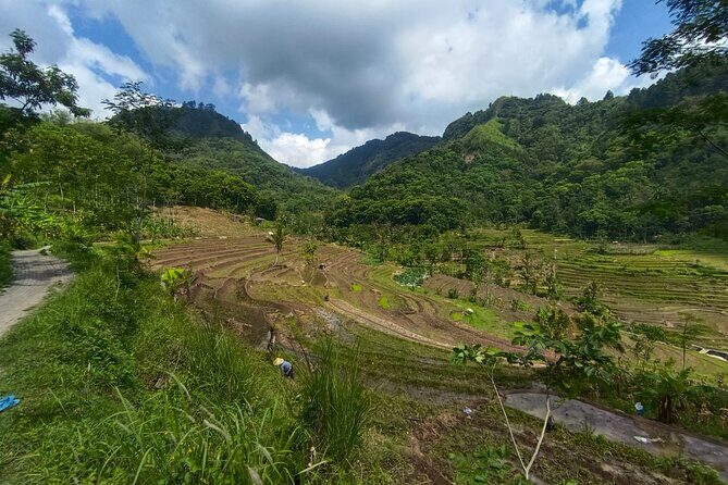 Java Village and Temple Tour from Borobudur - Who Should Consider This Tour?