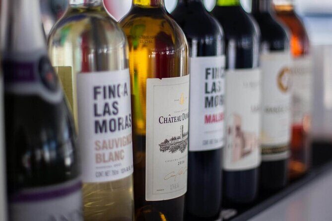 Jazz & Wine Los Cabos sunset cruise - Who Should Consider This Tour