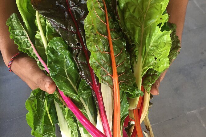 Jean Talon Farmer's Market Tour x Michelin-Trained Chef - Key Points