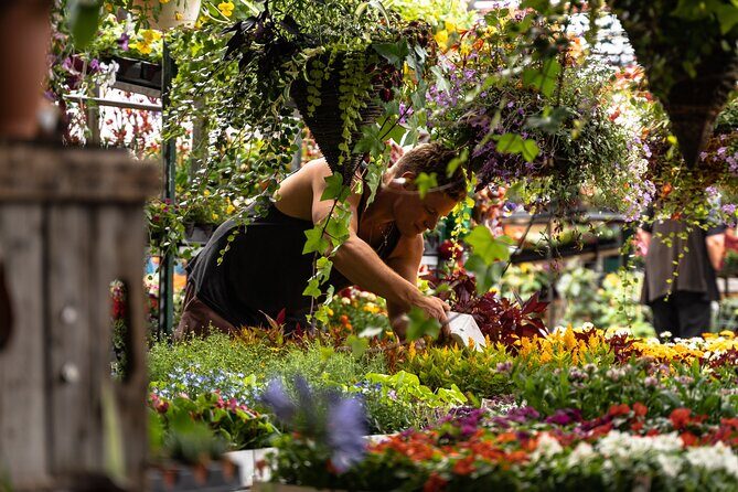 Jean-Talon Market & Little Italy Small Group Walking Tour - Final Thoughts