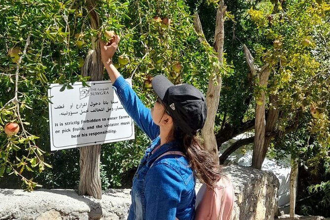 Jebel Akhdar Al Suwjara - Birkat Al Mouz Ruins - Private Full Day Tour - Key Points
