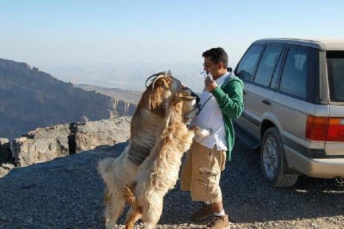 Jebel Shams Day Trip: The Grand Canyon of Oman - Key Points