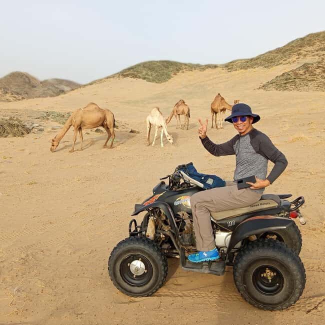 Jeddah Desert Safari: Quad Biking, Camel Farm & Sunset Views - Who Is This Tour Perfect For?