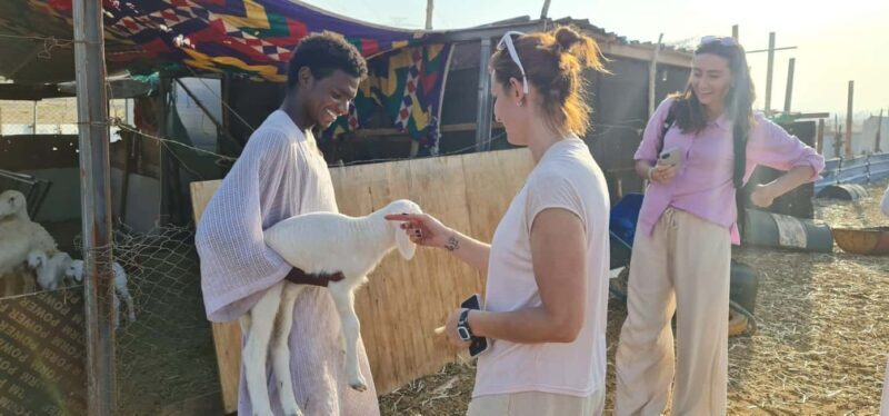 Jeddah: Private Bedouin-Style Desert Safari with Quad Bike - Value and practical considerations