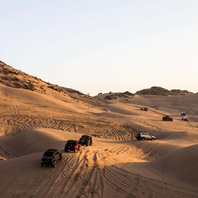 Jeddah: Quad Bike Ride, Bedouin Herd, and Desert Farm Tour - The Itinerary, in Detail