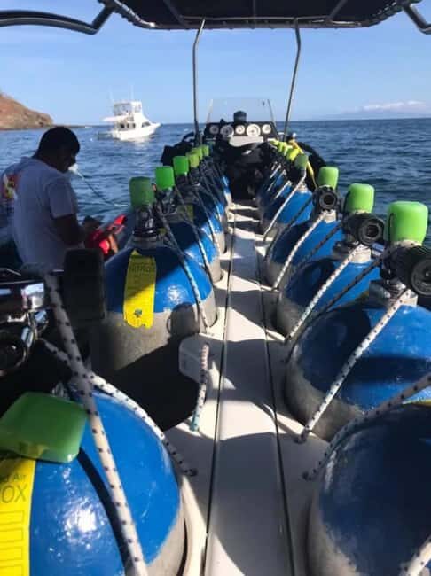 Jeddah's Oceanic Wonders: Dive into the Red Sea - Breakdown of the Experience