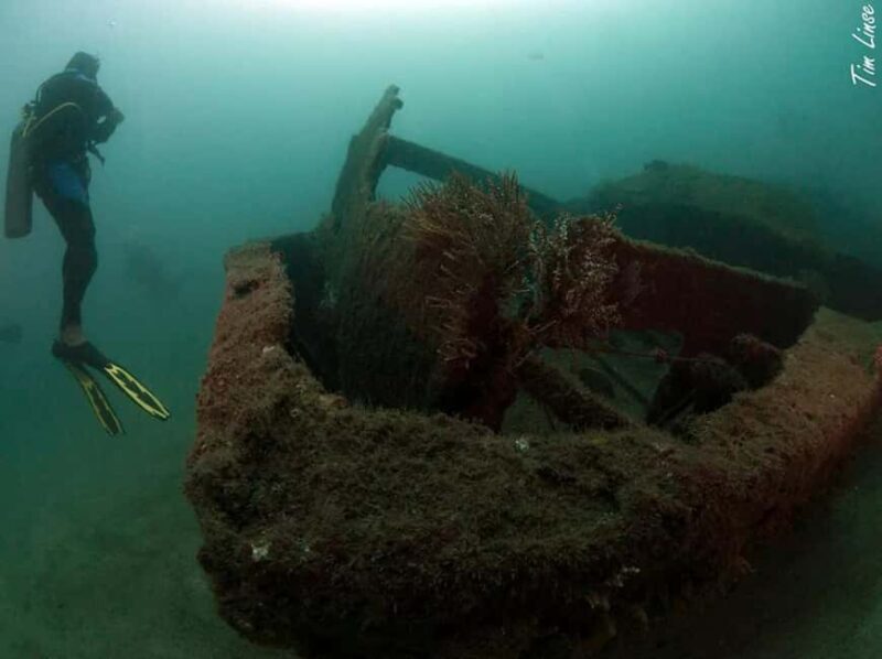 Jeddah's Oceanic Wonders: Dive into the Red Sea - The Value for Your Money