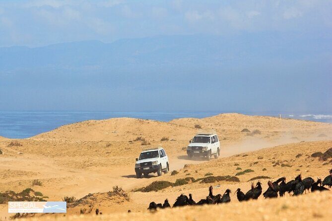 Jeep 4x4 Safari Atlantic Ocean & Desert Dunes with Berber Lunch - Stop 4: Mini Sahara Dunes at Arbaa Rasmouka