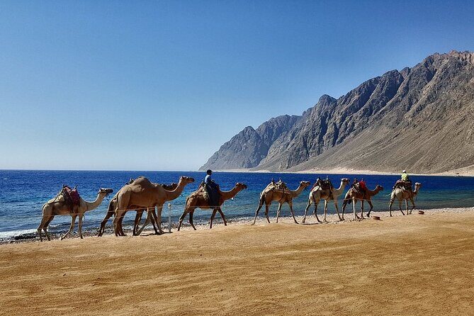Jeep Adventure to Canyon Salama and Dahab from Sharm El-Sheikh - An In-Depth Look at the Tour Experience